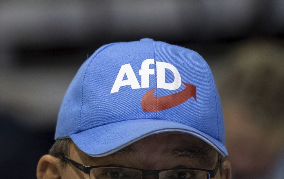 afd germany